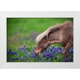 thumbnail image 1 of Zheng, Michael 14x11 White Modern Wood Framed Museum Art Print Titled - Spring Is In The Air, 1 of 4