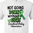 thumbnail image 4 of Inktastic Not Going Down Without a Fight Cerebral Palsy Awareness T-Shirt, 4 of 5