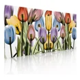 thumbnail image 1 of Cuadro Decorativo Moderno Canvas Para Sala Tulipanes Color, 1 of 5