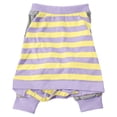 thumbnail image 1 of Polyester Dog Protective Shirt - Lightweight, Breathable, Striped Print - for Medium/Large Dogs' Injury Prevention, 1 of 7