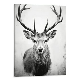 LevvArts - Black and White Wall Art Deer Picture Print on Canvas Wall  Painting Modern Living Room Wall Decal,Gallery Wrapped,Animal Canvas Wall  Art : : Home