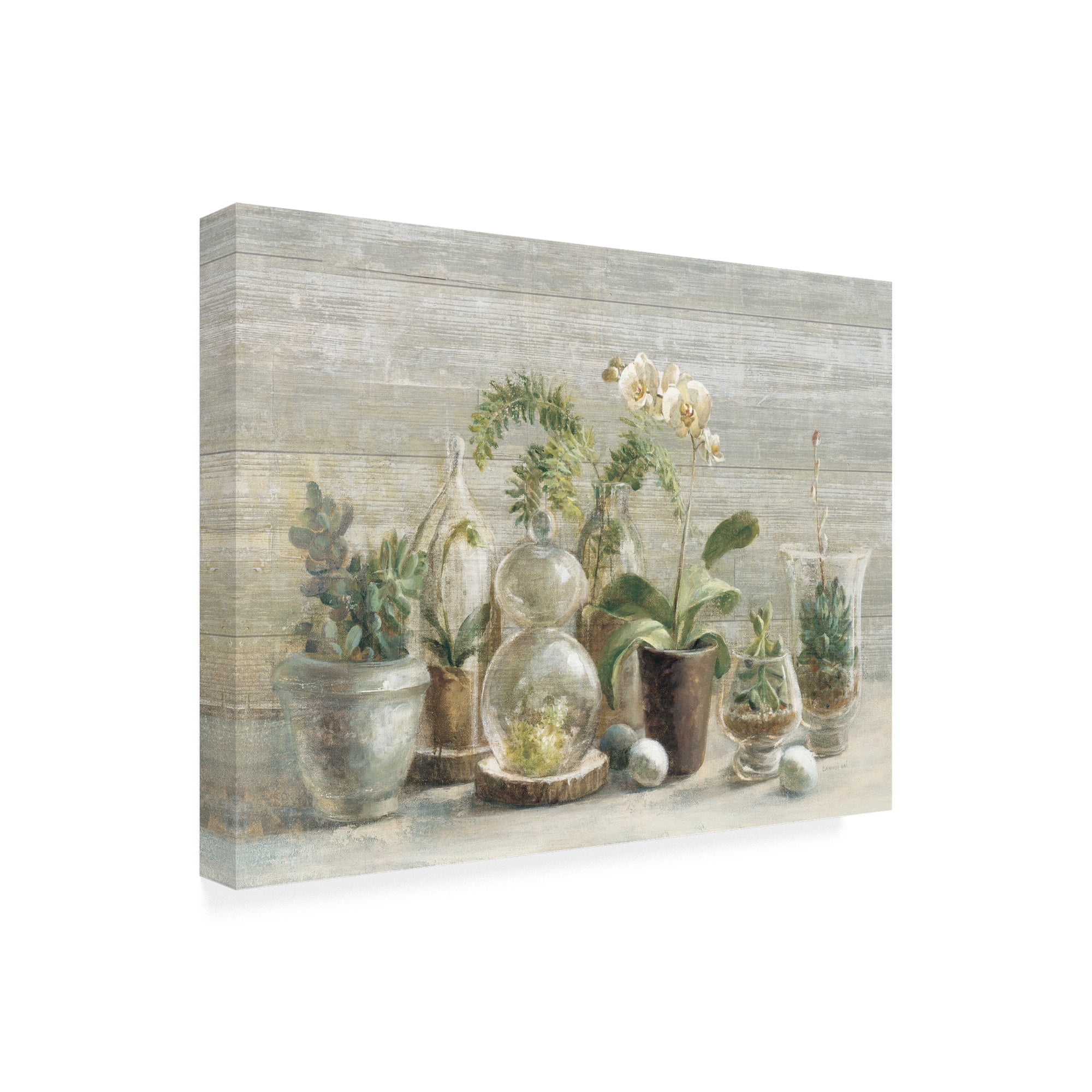 Trademark Fine Art 'Greenhouse Orchids on Wood' Canvas Art by Danhui Nai
