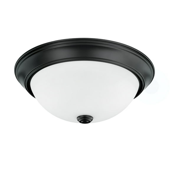 Capital Lighting 214722 2 Light 5-1/4" Tall Flush Mount Bowl Ceiling Fixture - Black
