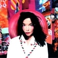 thumbnail image 2 of Post & Homogenic & Debut & Greatest Hits & Medulla & Selma Songs [LP Vinyl Bundle], 2 of 7