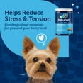 thumbnail image 6 of NaturVet Quiet Moments Calming Aid, Melatonin Soft Chews Supplement for Dogs, 180 count, 6 of 10