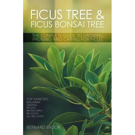 Ficus Tree and Ficus Bonsai Tree. The Complete Guide to Growing, Pruning and Caring for Ficus. Top Varieties -
