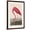 Brown Frame, variant on Art.com American Flamingo, 1838 Giclee Print by John James Audubon, 12" x 18"