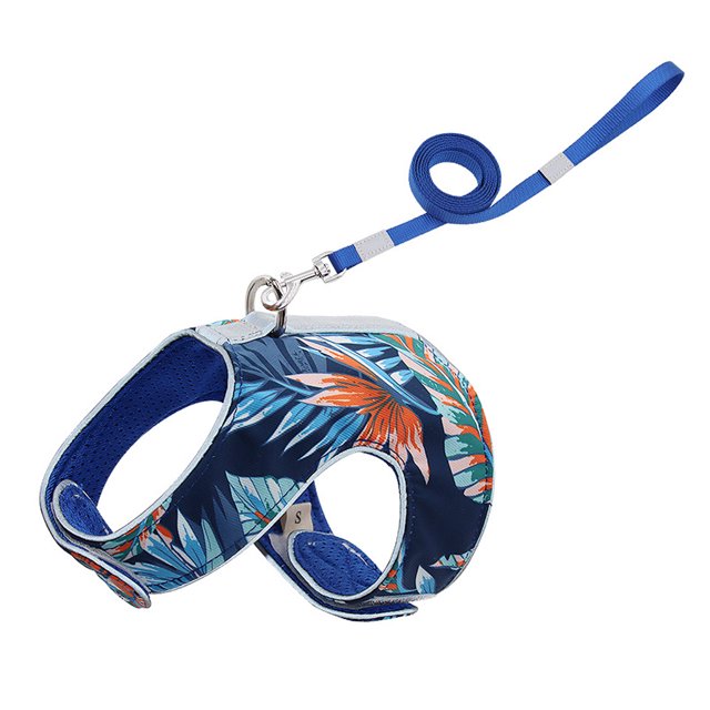 Arnés para gatos Chaleco ajustable suave para mascotas para caminar Gatos pequeños, medianos y grandes XS Azul Jinwen Arnés para gatos