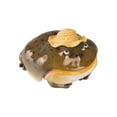 thumbnail image 2 of Earbuds Compatible With Frog Design Cover Animals Soft Scratch Wireless Earphone Protector Handmade, 2 of 6