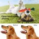 thumbnail image 3 of Juguete de cuerda para perros, paquete de 8 Juguetes interactivos para perros, Juguete para masticar, Accesorios para perros Juguetes, Juguete de cuerda duradero Soledad Perros pequeños y medianos Sa, 3 of 5