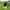Black, variant on PATLOLLAV Cat Tent With 4 Ground Nails,Tent with Removable Non-Slip Soft Pad, Indoor Outdoor Foldable Hut, Portable Pet Tent Cave for Cats Small Dogs Kitten
