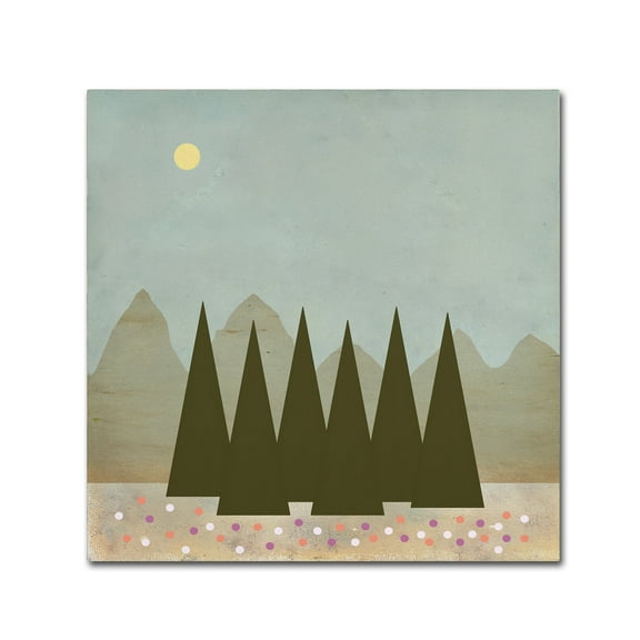 Trademark Fine Art 'The Wild Flowers' Canvas Art by Tammy Kushnir