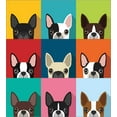 thumbnail image 3 of Ambesonne Boston Terrier Duvet Cover Set, Terrier Portrait, Twin, Multicolor, 3 of 3