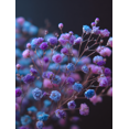 thumbnail image 1 of Geometric Badger Canvas Print, Decor for Living Room, Office, Hotel, Home Decor, 1 of 8
