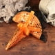 thumbnail image 2 of 2 piezas de sombrero de Halloween diadema de bruja disfraz de fiesta de disfraces gorro de lentejuelas de encaje fruncido para decoración naranja, 2 of 5