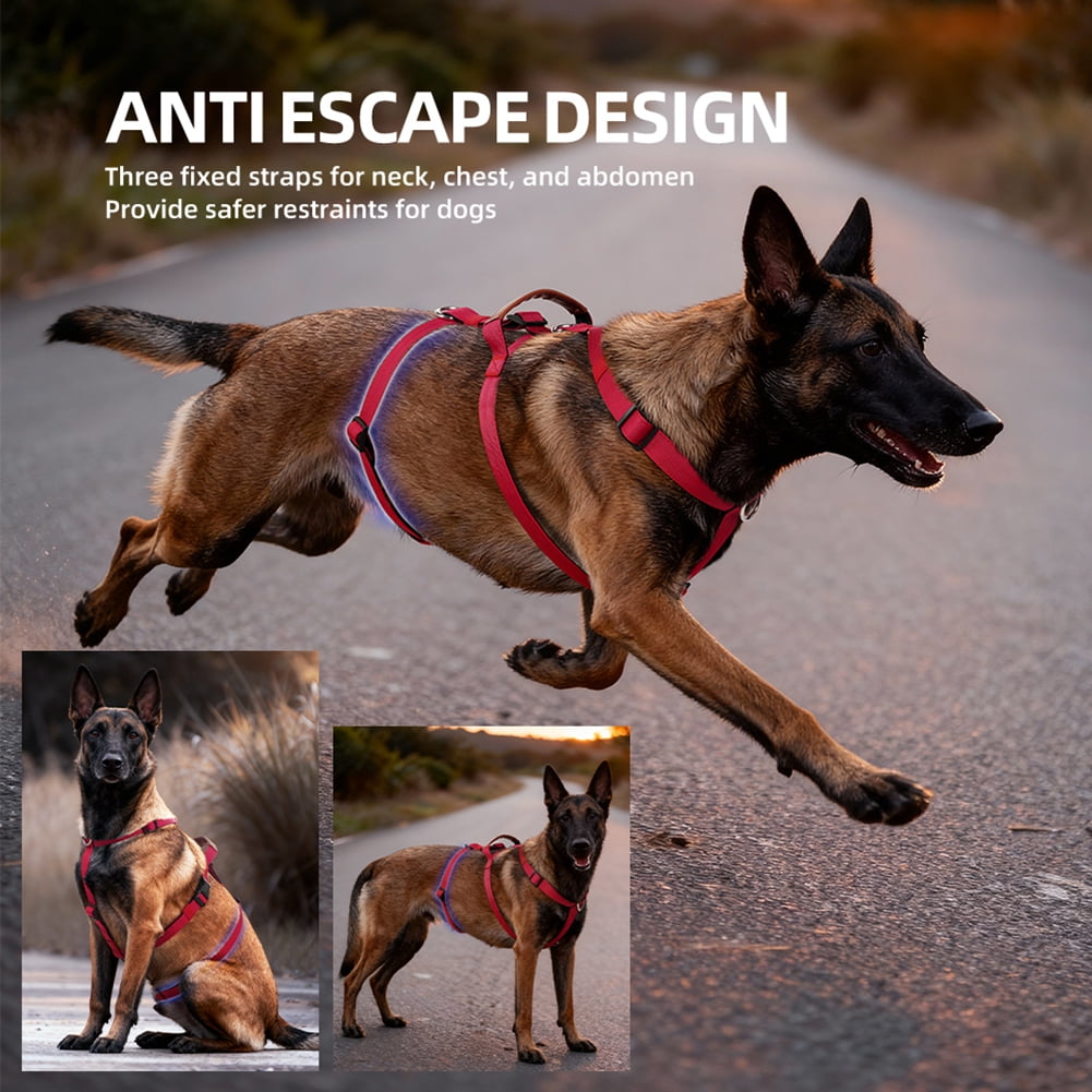 Escape Proof Dog Harness, No Pull Harness with Lift Handle, Adjustable Pet Vest with Front and Back Leash Clips for Medium Large Dogs Walking Hiking Training