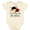 thumbnail image 3 of Inktastic Little Sister Ladybug Girls Baby Bodysuit, 3 of 5