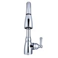 thumbnail image 2 of Dura Faucet Robinet DF-PK160-CP Utilisé pour Cuisine; Pièce Unique 8 Pouces Montage sur Plateau; Bec Rétractable 15 Pouces; Poignée à Levier Unique; Chromé/plastique; Application 1 Trou/3 Trous, 2 of 7