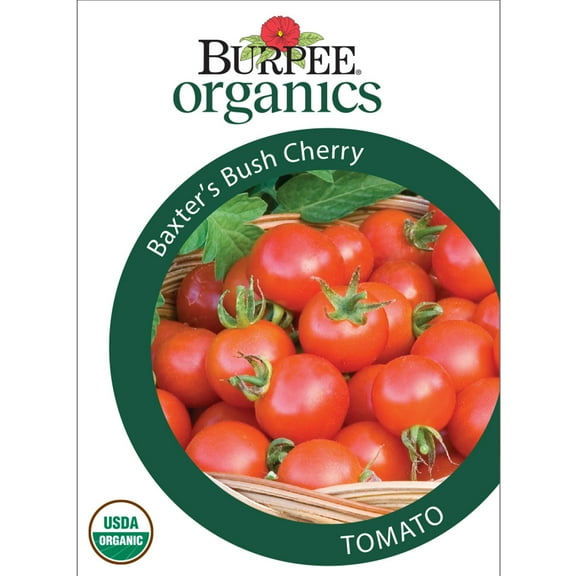 Burpee Organic Baxter's Bush Cherry Tomato Vegetable Seed, 1-Pack