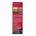 thumbnail image 6 of Revlon Colorsilk Beautiful Hair Color, Dark Ash Blonde #60 - 1 Ea, 6 of 7