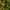 Palm Leaves Green, variant on Greendale Home Fashions Esprit Floral 17 in. Square Outdoor Throw Pillow (2-Pack)