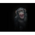 thumbnail image 2 of Kamera 31x26 White Modern Wood Framed Museum Art Print Titled - Teeth, 2 of 4