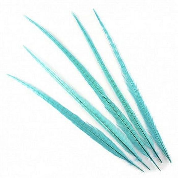 ZUCKER Ringneck Pheasant Tails Bleached -Dyed Feathers - 20 - 24" - 5pcs - Light Turquoise