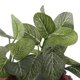 thumbnail image 5 of Plantas Artificiales Decoración Ornamento Submarino Verde Peces De Acuario Tanque Falso De Las Hojas Unique Bargains, 5 of 5