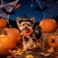 thumbnail image 6 of Aoznliie Dog Clothes, Halloween Pet Cloak with Hat for Party Apparel, M 11.8-14.2 inch Neck Adjustable Costume for Cats Dogs, Black, 6 of 7