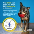 thumbnail image 3 of Dr Buzby's ToeGrips for Dogs - Large - Instant Traction on Wood/Hardwood Floors -1 Pack (20 Grips), 3 of 8