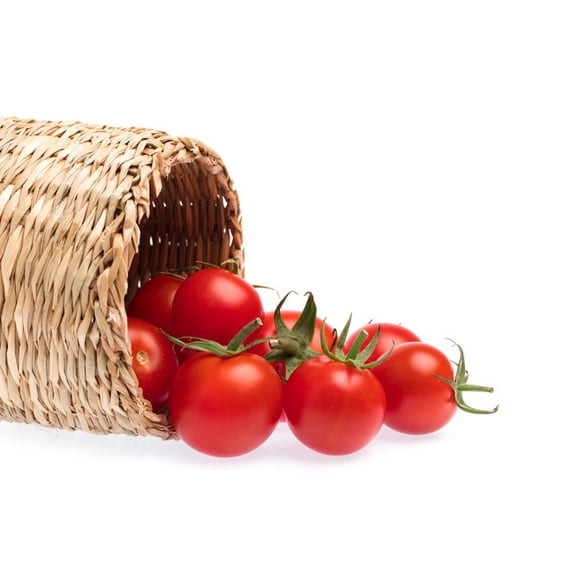 SEEDS = = = 40 Seeds Large Cherry Tomato -Good for Sauce and Fresh- Freezing -Fresh Gourmet Flavor- Great Addition to salsa -seed