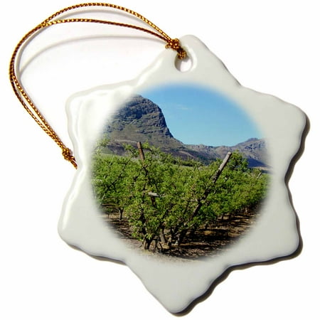 Martha's Vineyard Christmas Ornaments 3dRose Vineyards of Franschoek, Western Cape, South Africa - AF42 MGL0019 - Miva Stock, Snowflake Ornament, Porcelain, 3-inch ()