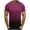 Purple, variant on WREESH Mens Slim Contrast Color T-Shirts Gradient Crew Neck Short-Sleeve Summer Workout Tops Khaki