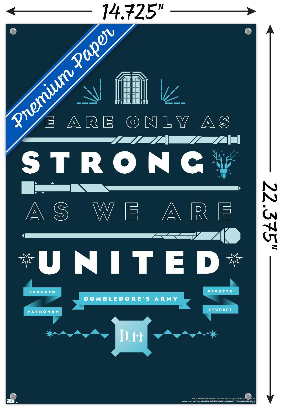 Harry Potter - United Wall Poster with Pushpins, 14.725" x 22.375"