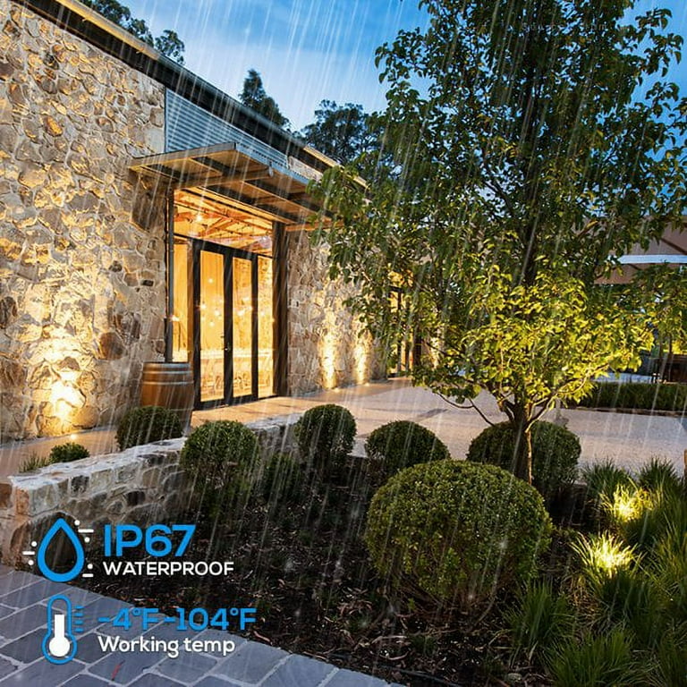 LEONLITE LED Landscape Lighting Kit 6 Pack Pathway Lights 12