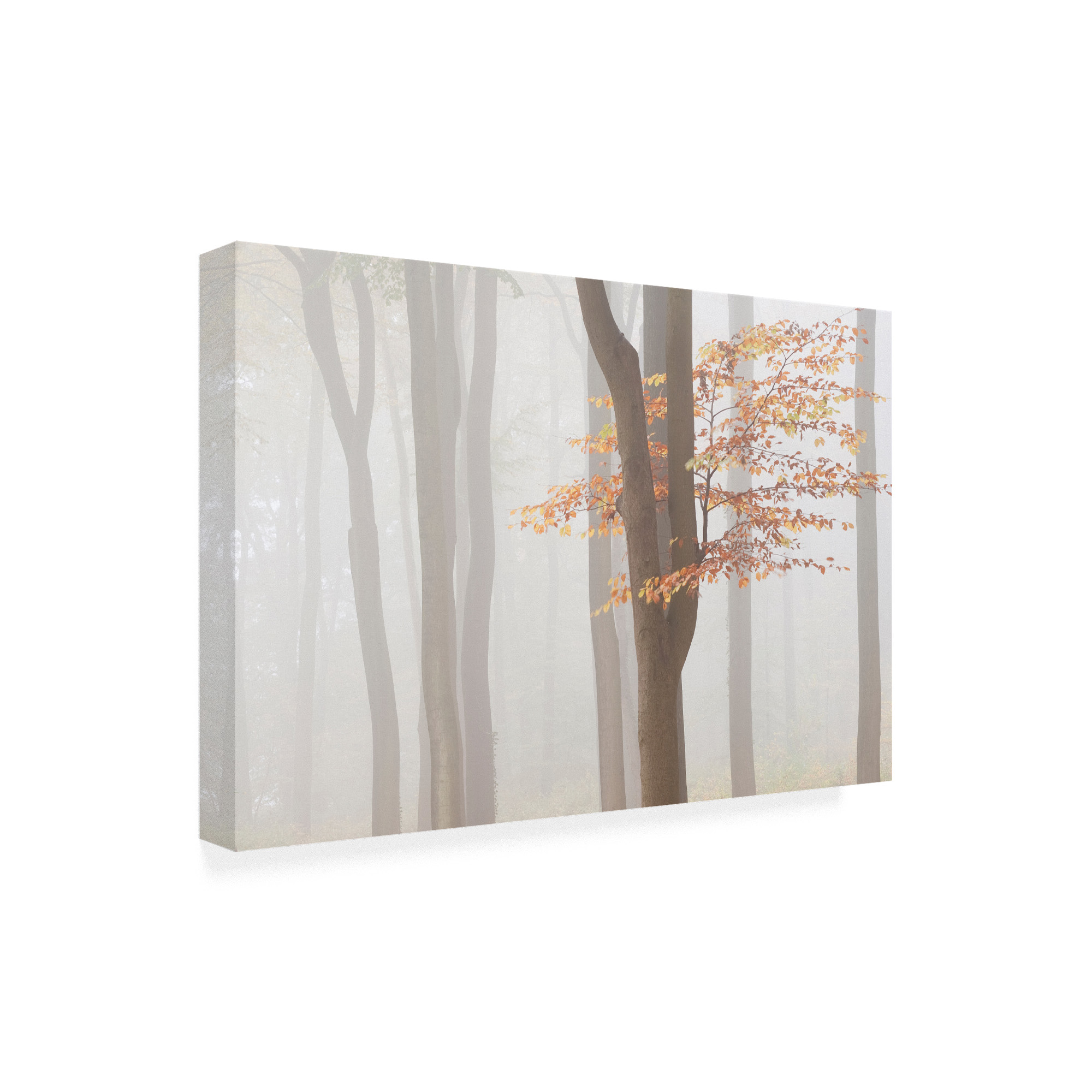 Trademark Fine Art 'Arnhem Park Zypendaal' Canvas Art by Wilco Drag