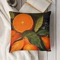 thumbnail image 3 of SHANXI Throw Pillow Covers Decorative Pack Pillow Cases Farmhouse Decor Black White Buffalo Check Frame with Fruit Cushion Cover 24x24in, 3 of 5