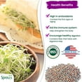thumbnail image 4 of Nature Jim's 8 oz Broccoli Sprout Seeds, Organic Sulforaphane-Rich, 4 of 13