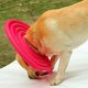 thumbnail image 5 of ALPet Recovery E-collar Soft Cat Dog Collares inflables protectores para pequeños y medianos, 5 of 5