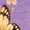 Purple, variant on Cozymy Women's Watercolor Cherry Blossom and Butterfly Graphic V-Neck Short Sleeve T-Shirt Floral Nature Casual Tee