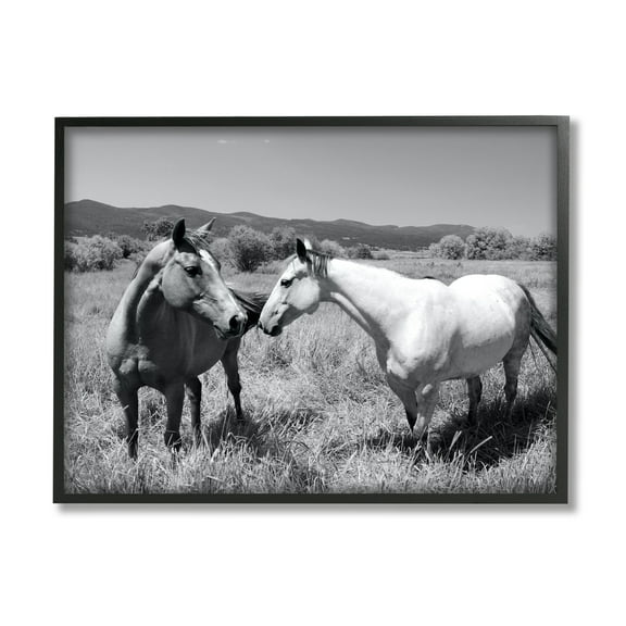 Stupell Industries Two Horses Photography Landscape Photography Black Framed Art Print Wall Art, 14 x 11