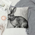 thumbnail image 2 of Chilfamy Vintage Farmhouse Animal Pillow Covers Retro Farmer's Market Truck Bunny Rabbit Feed Seed Premium Poultry Farm Home Décor Throw Pillow Case Cushion Cover for Sofa 20x20in, 2 of 5