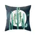 thumbnail image 1 of Cactus Succulents Pattern Polyester Pillowcase Cushion Cover Office Sofa Home Peach Skin Velvet Decor, 1 of 9