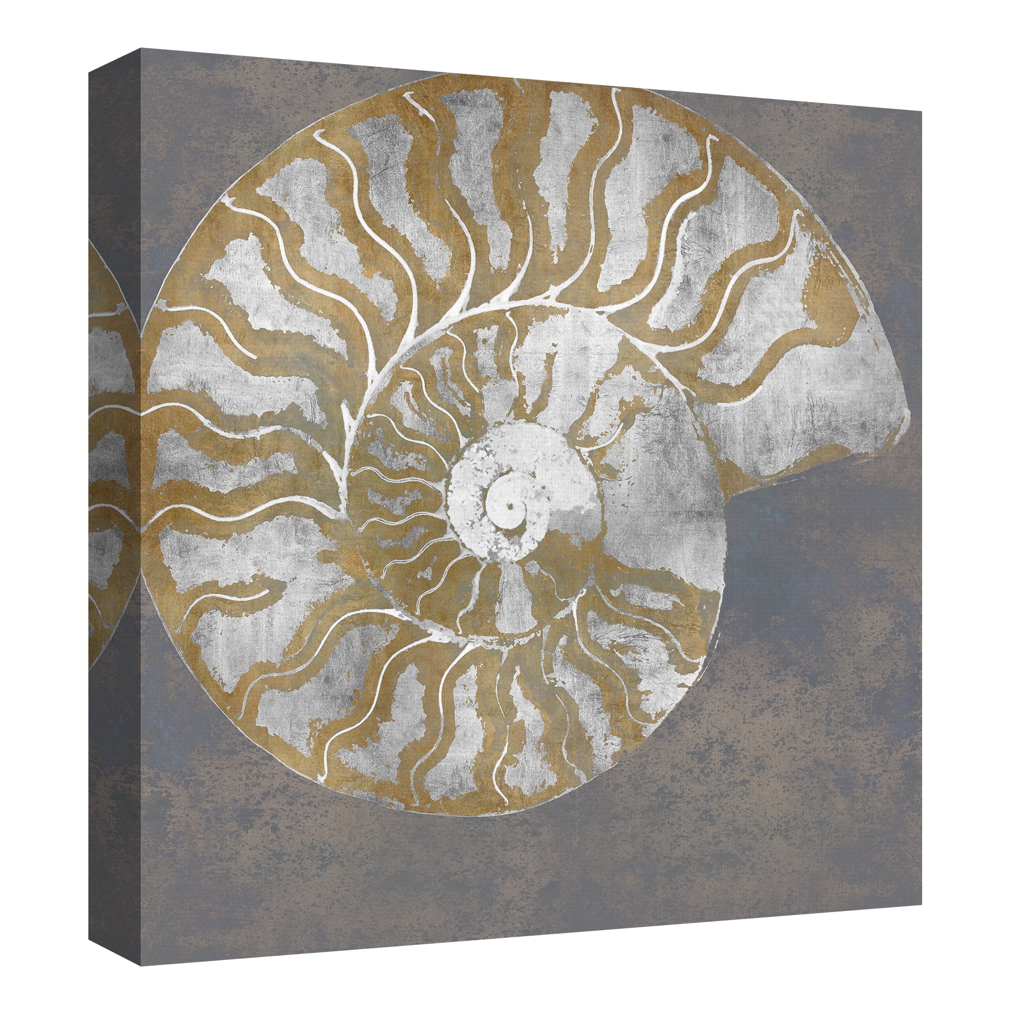Nautilus I, II by Mark Chandon Mollusk Canvas Art Set of 2