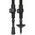 thumbnail image 2 of RWD Clip-Lock Walking Stick, 2 of 2