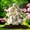 #28, variant on Fuebueo Garden Statues Outdoor Fairy Decor Fairy Garden Statues Resin Outdoor Sculptures Sitting Fairy Figurine Butterfly Rested on Fairy's Hand Art Outside Lawn Decor