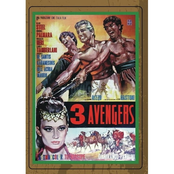 3 Avengers (DVD), Sinister Cinema, Action & Adventure