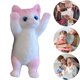 thumbnail image 4 of Toy Descompresión Gato Juguete Squeeze Tpr para Adultos () Rosa, 4 of 9