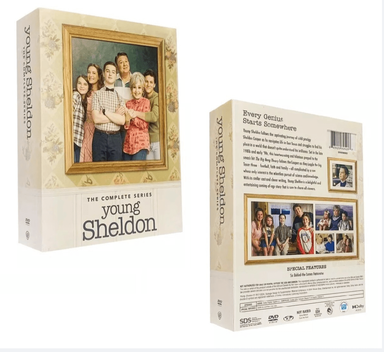 Young Sheldon: The Complete Series, Seasons 1-7 (DVD) Box-Set