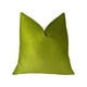thumbnail image 2 of CojínPlutus Contentment Grass, (doble cara 16 "x 16") Plutus PB11375-1616-DP, 2 of 2